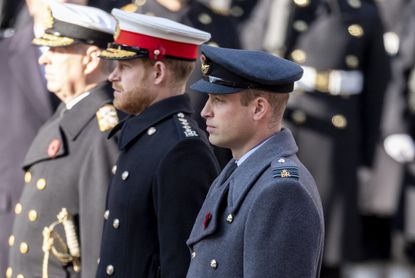 prince William and prince harry