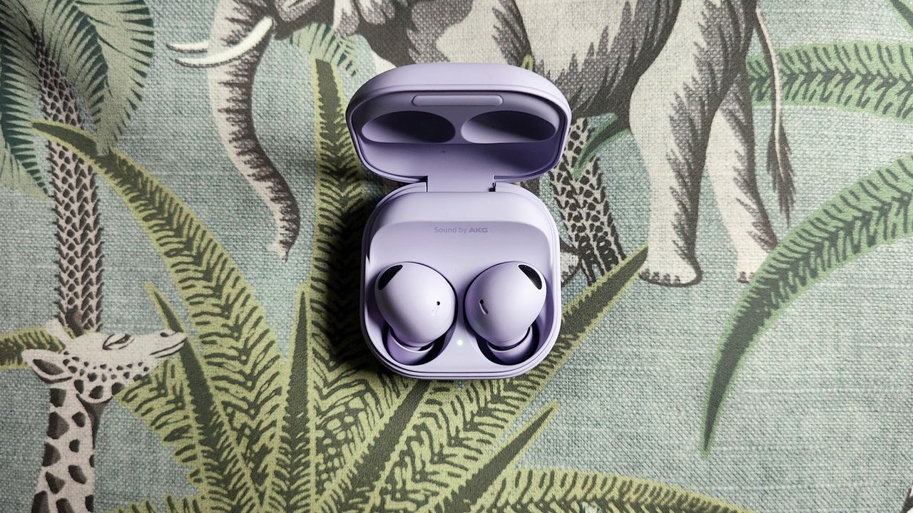 Samsung Galaxy Buds2 Pro review: earbuds in the case on a green background with a giraffe