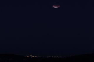 Lunar Eclipse Dec. 10 - Tony DiBerardinis