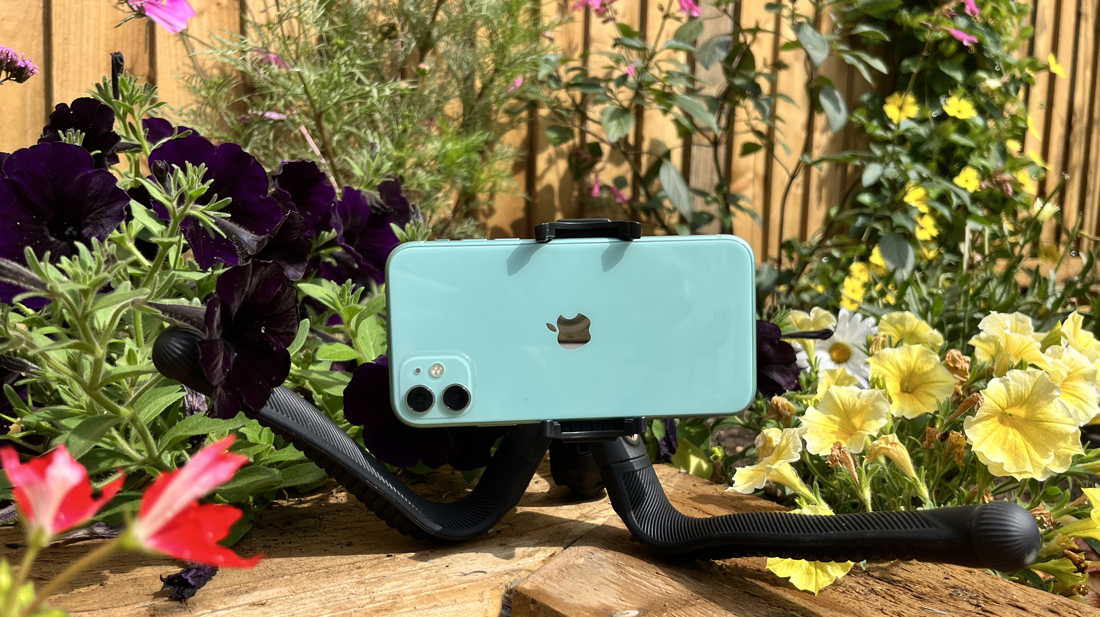 Freewell Vlogpod with legs bent for low-level shooting supporting phone