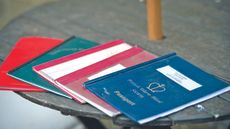 equine passports