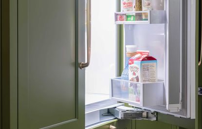 YouCopia RollOut 6 Fridge Caddy