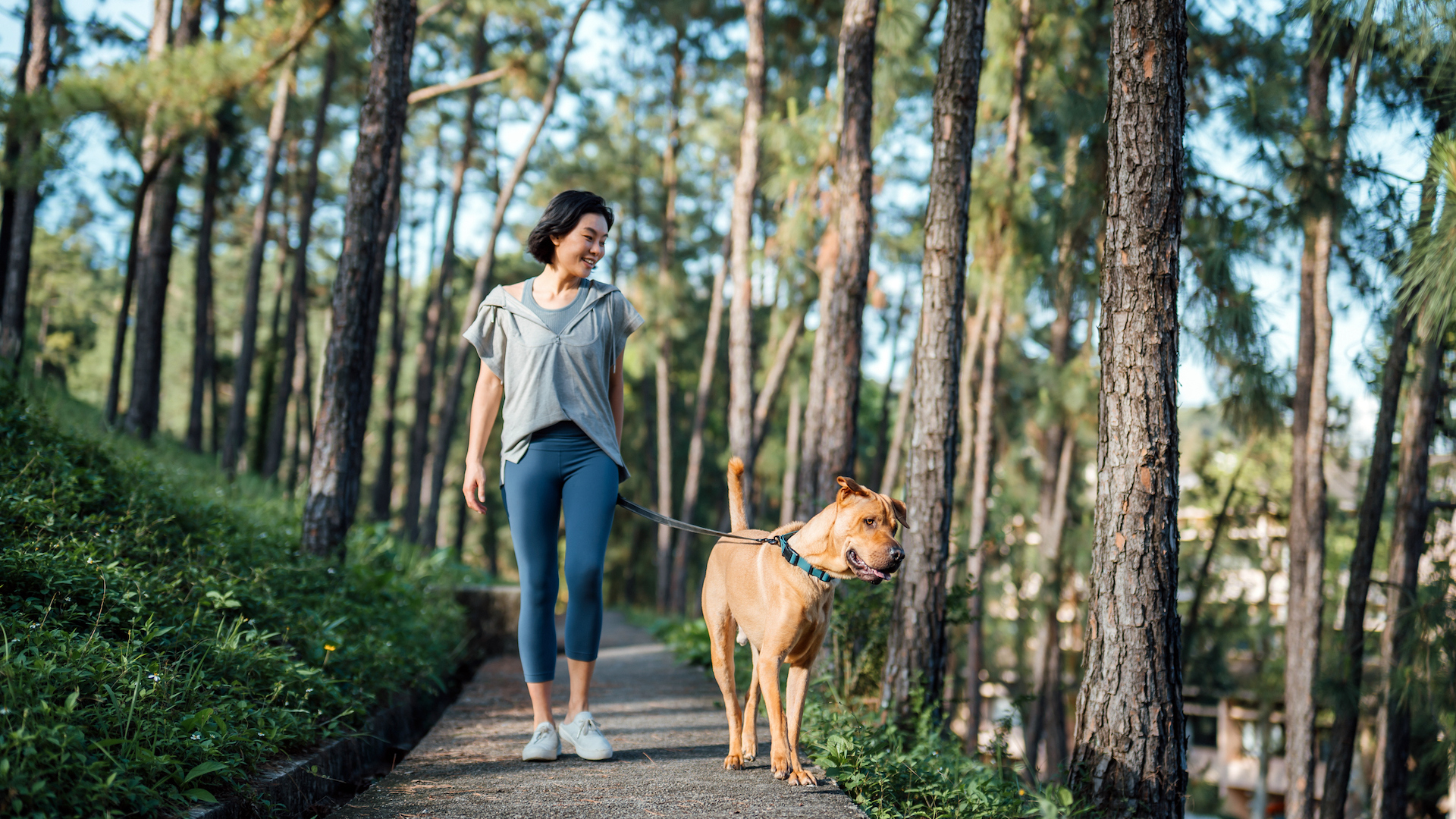 Lady walking her dog