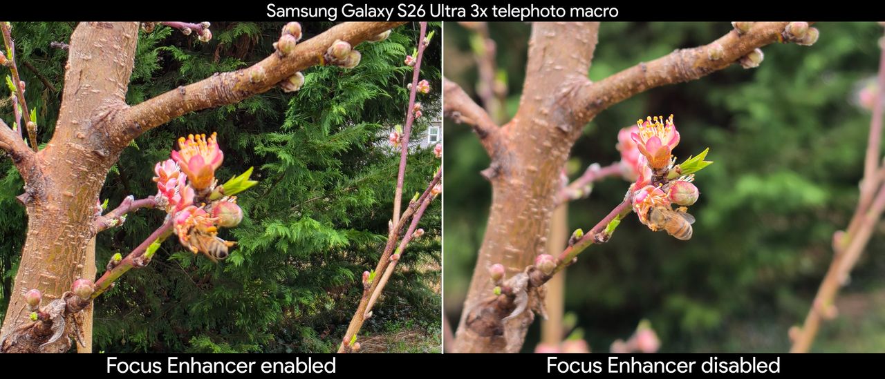 Comparing telephoto macro shots with the Focus Enhancer feature enabled and disabled
