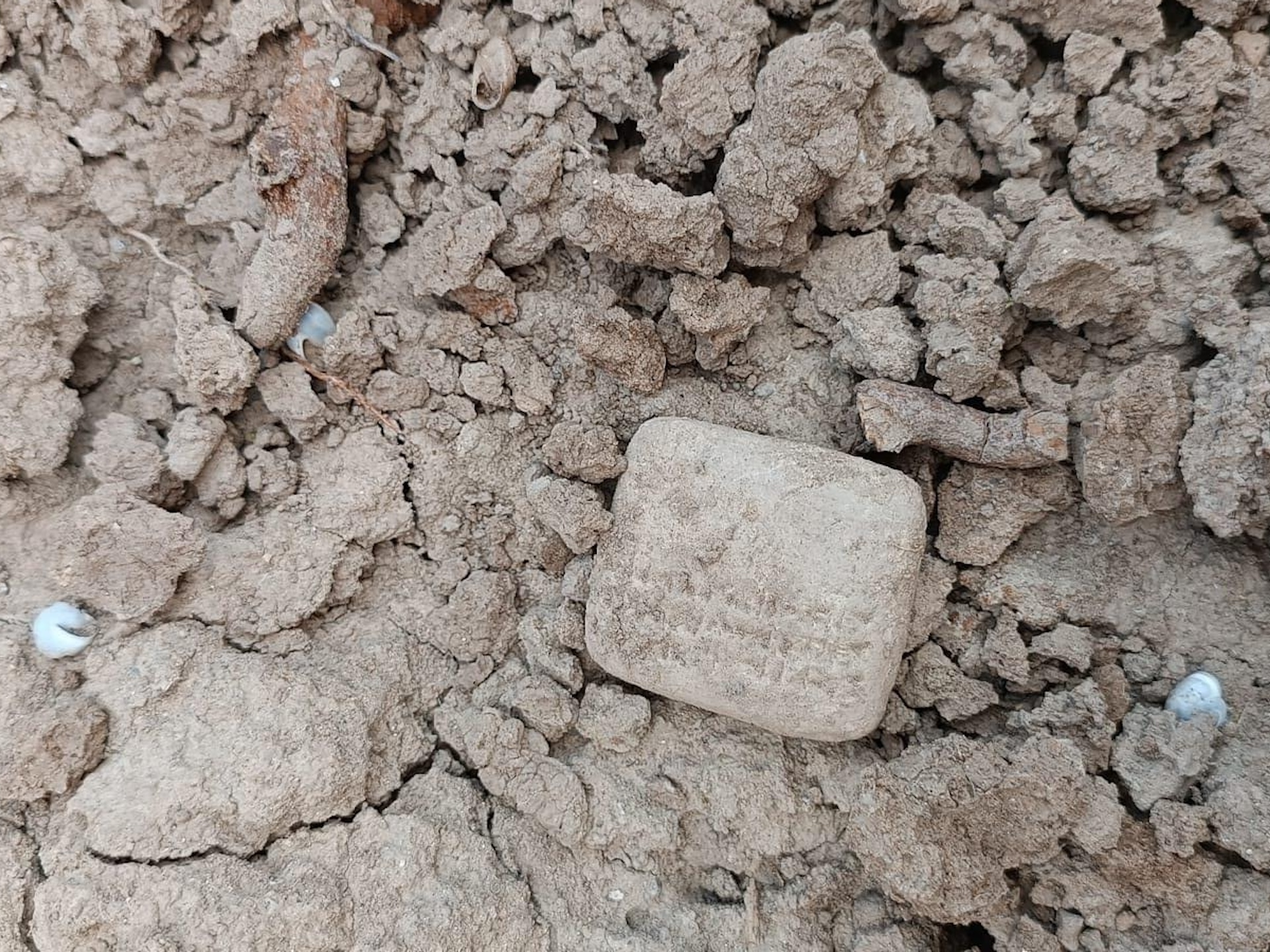 A small clay tablet found in the Old City of Alalakh