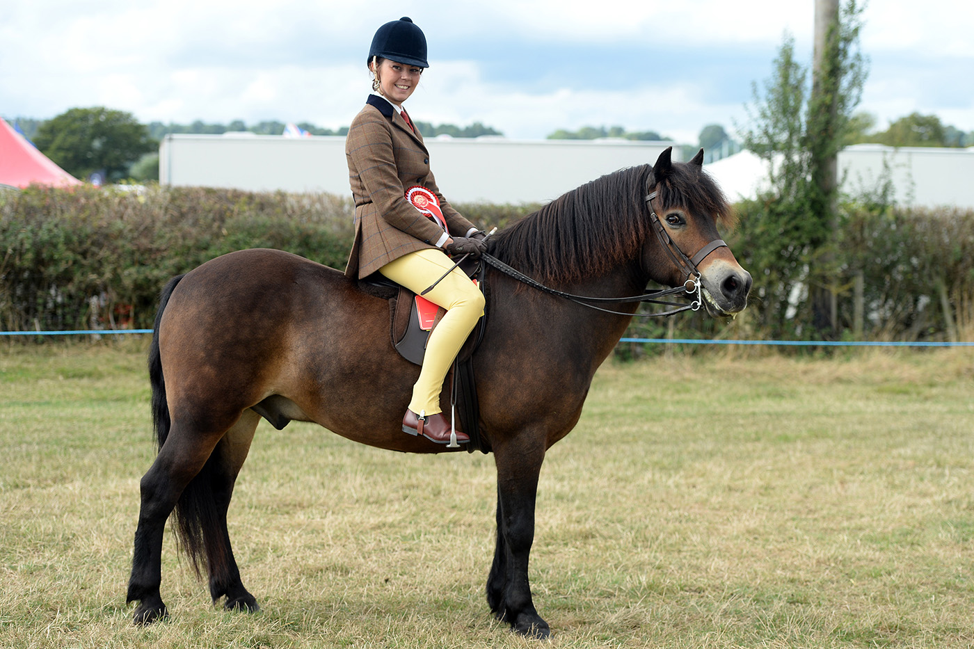 Exmoor-winner-7-9-13-copy.jpg