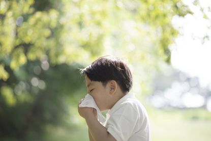 Boy blowing his nose in a park, as parents wonder if you should send your child into school with a cold
