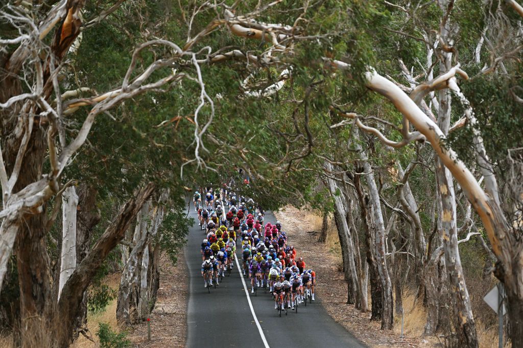 URAIDLA AUSTRALIA JANUARY 23 A general view of the peloton passing through a landscape during the 25th Santos Tour Down Under 2025 Stage 3 a 1475km stage from Norwood to Uraidla 491m UCIWT on January 22 2025 in Uraidla Australia Photo by Dario BelingheriGetty Images