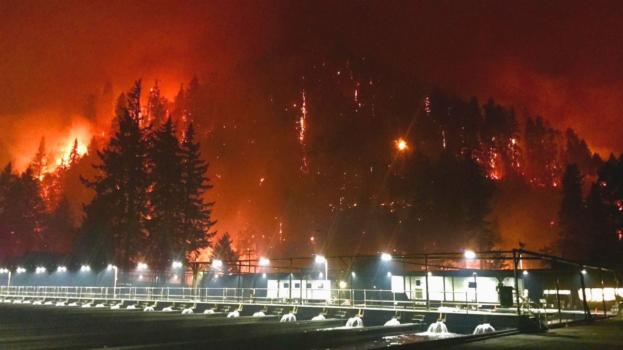 Oregon Eagle Creek wildfire