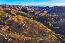 Barolo rising temperatures