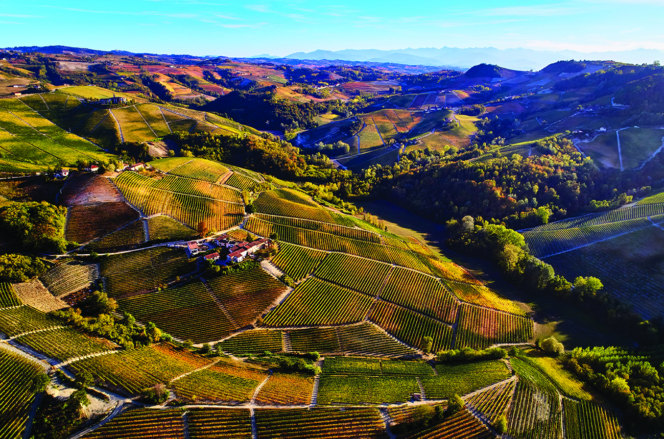 Barolo rising temperatures
