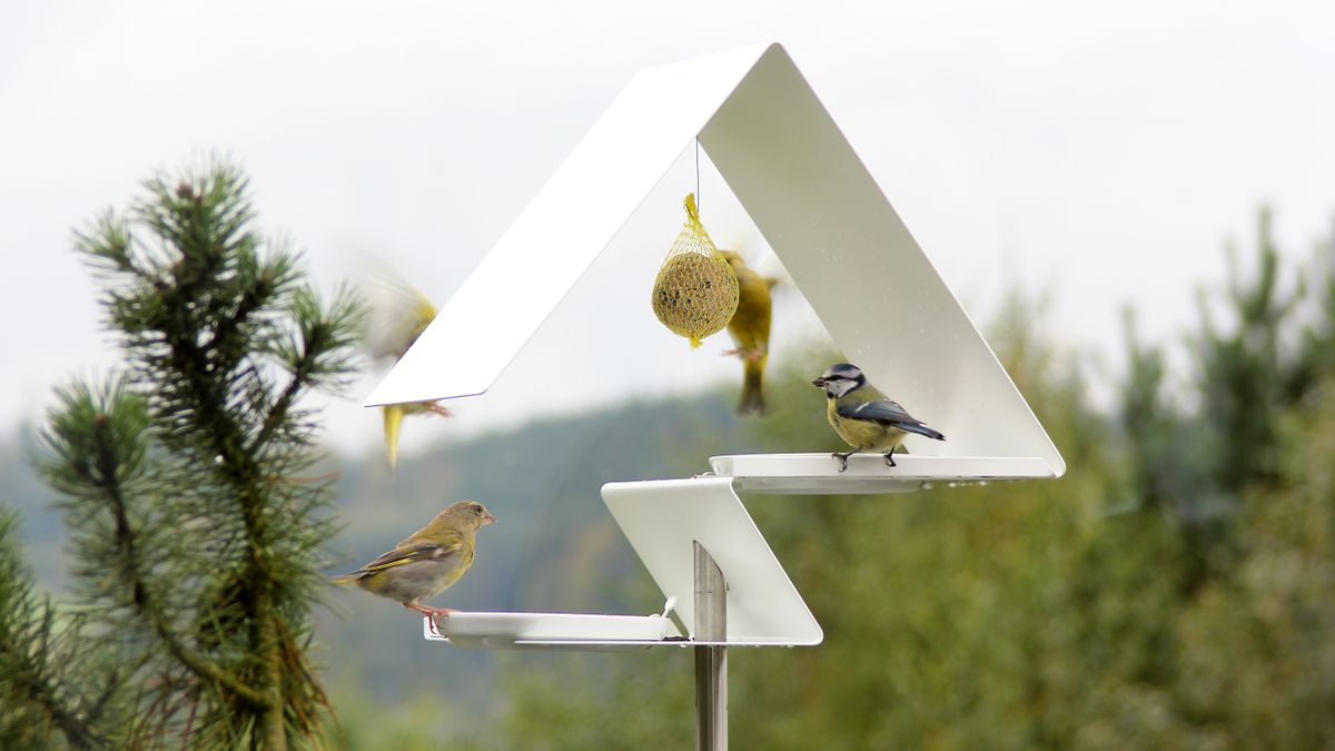 Bird feeder deals stand argos