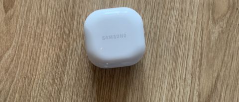 Samsung Galaxy Buds2 in case