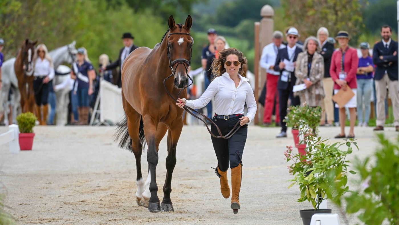 Laura COLLETT riding LONDON 52 for GBR during the 1st Horse Inspection at the FEI Eventing European Championship in Haras du Pin in Normandy in France between the 9th-13th August 2023