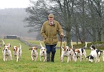 John-Harrison-Ullswater-foxhounds.jpg