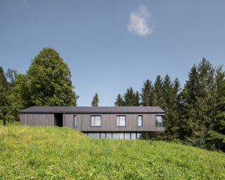 Sigurd Larsen mountain house design