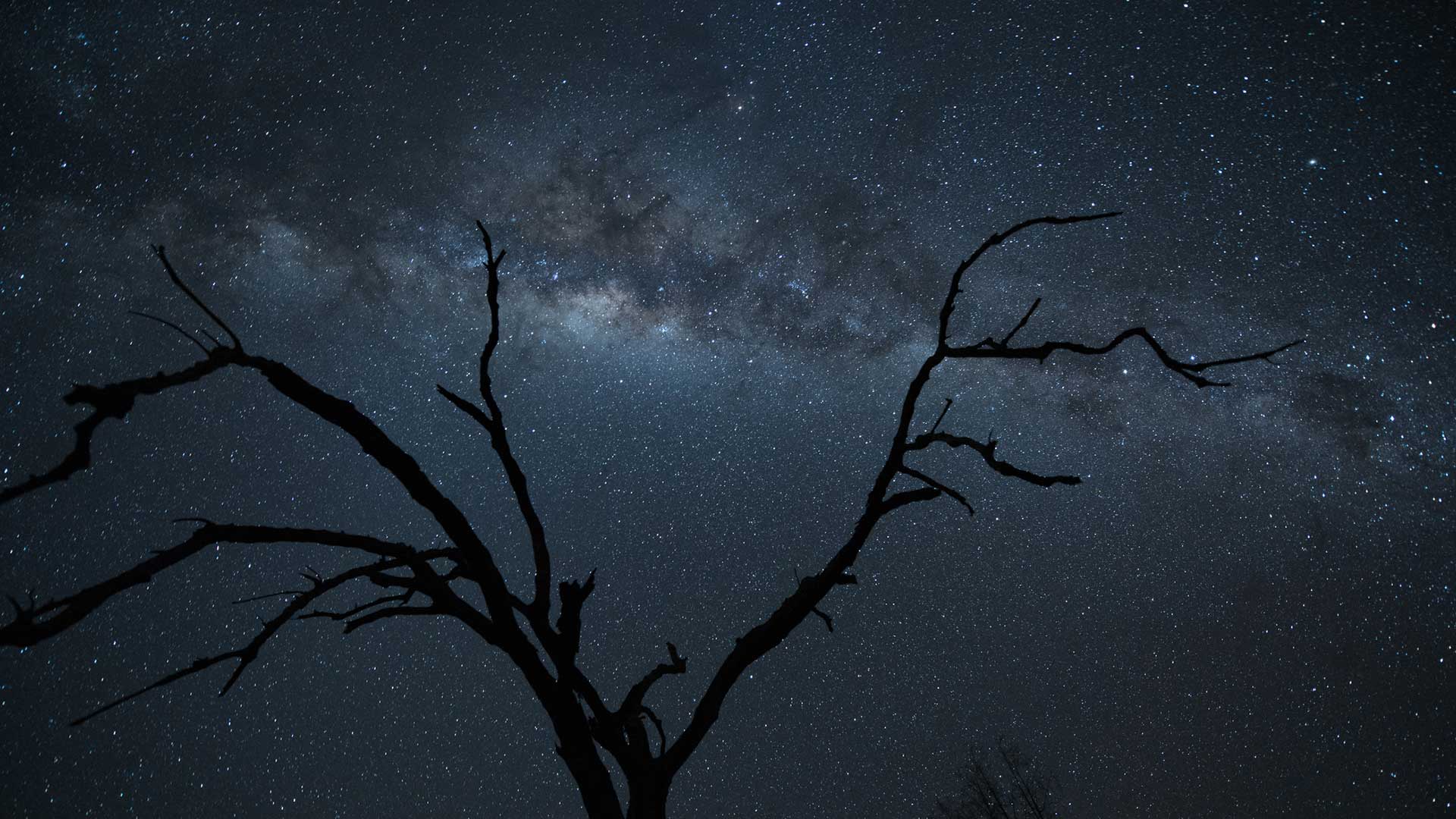 Adelaide night sky with milky way