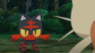 Litten in Pokemon.