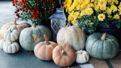 Different colored pumpkins on a porch