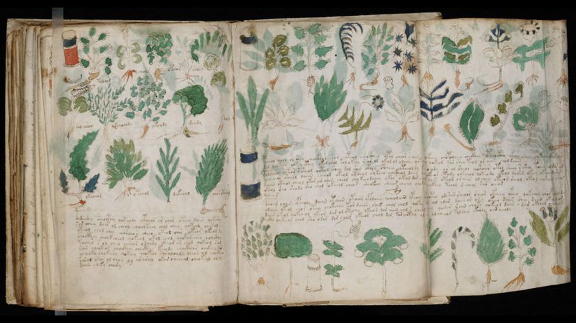 A photo of a manuscript decorated in plants on three text-covered pages.