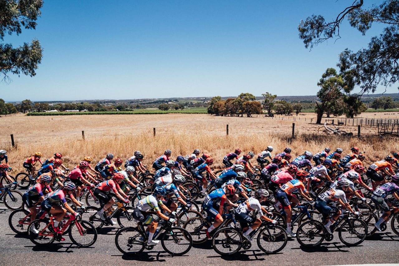 The peloton during stage 2 of the 2025 women&#039;s Santos Tour Down Under