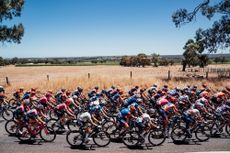 The peloton during stage 2 of the 2025 women's Santos Tour Down Under