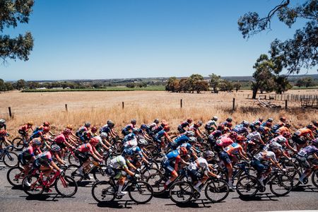 The peloton during stage 2 of the 2025 women's Santos Tour Down Under