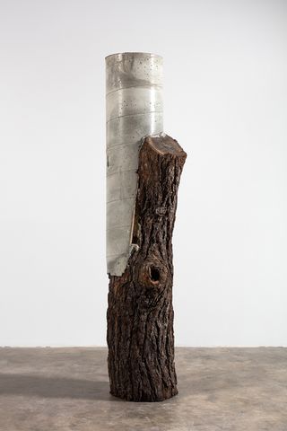 A concrete pipe attached to an upright piece of tree trunk