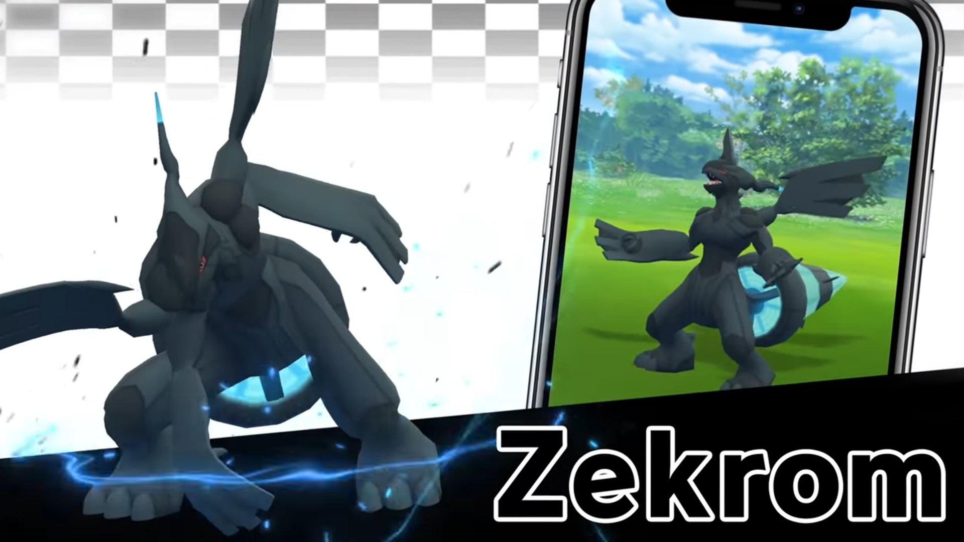 Zekrom Pokemon