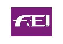 FEI_logo.jpg