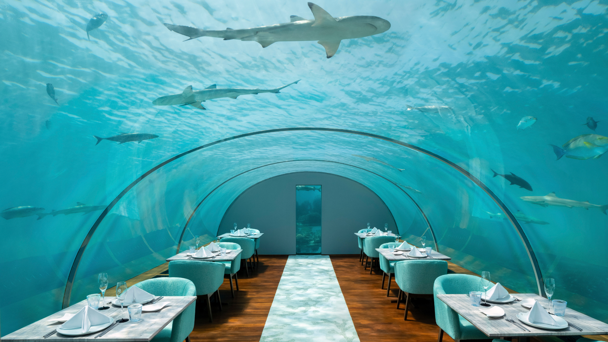 Ithaa Undersea Restaurant at Conrad Maldives Rangali Island