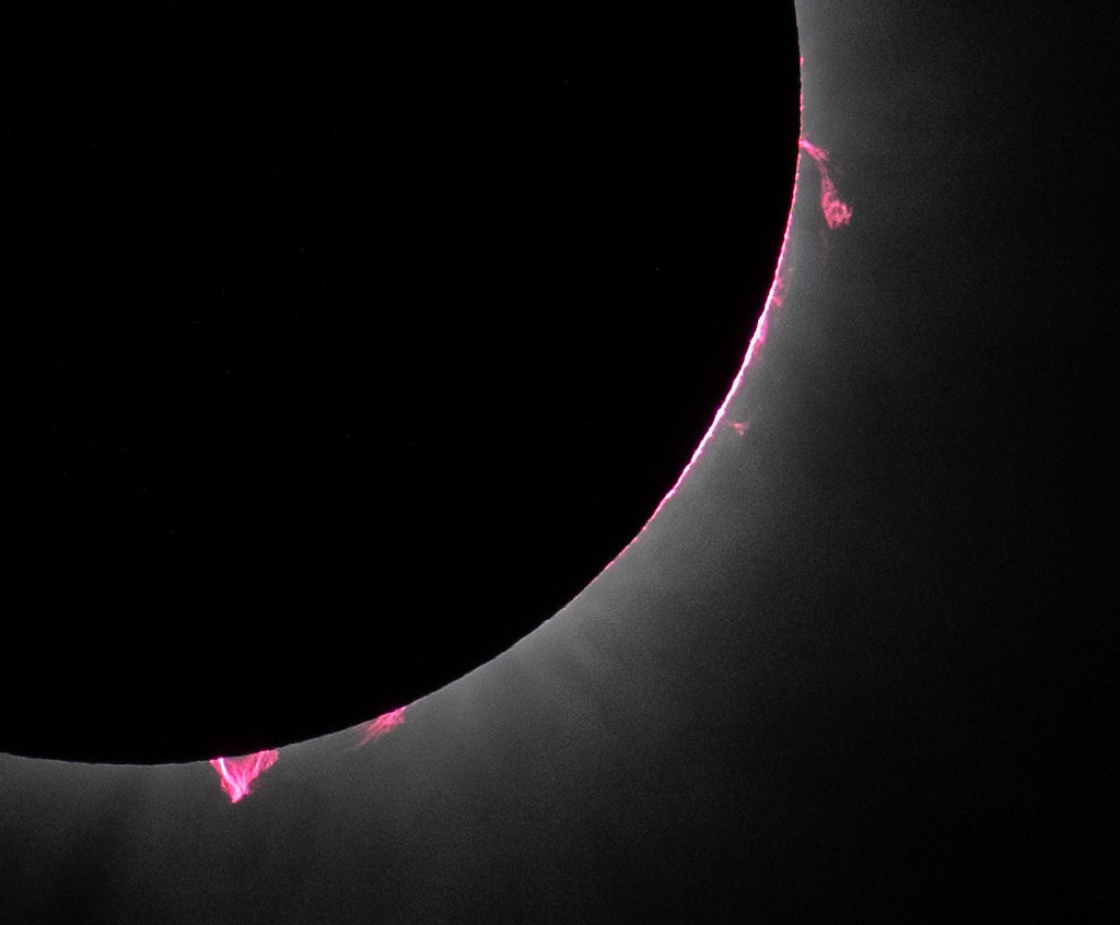 Protuberanze solari rosa emergono dal Sole durante l'eclissi dell'8 aprile