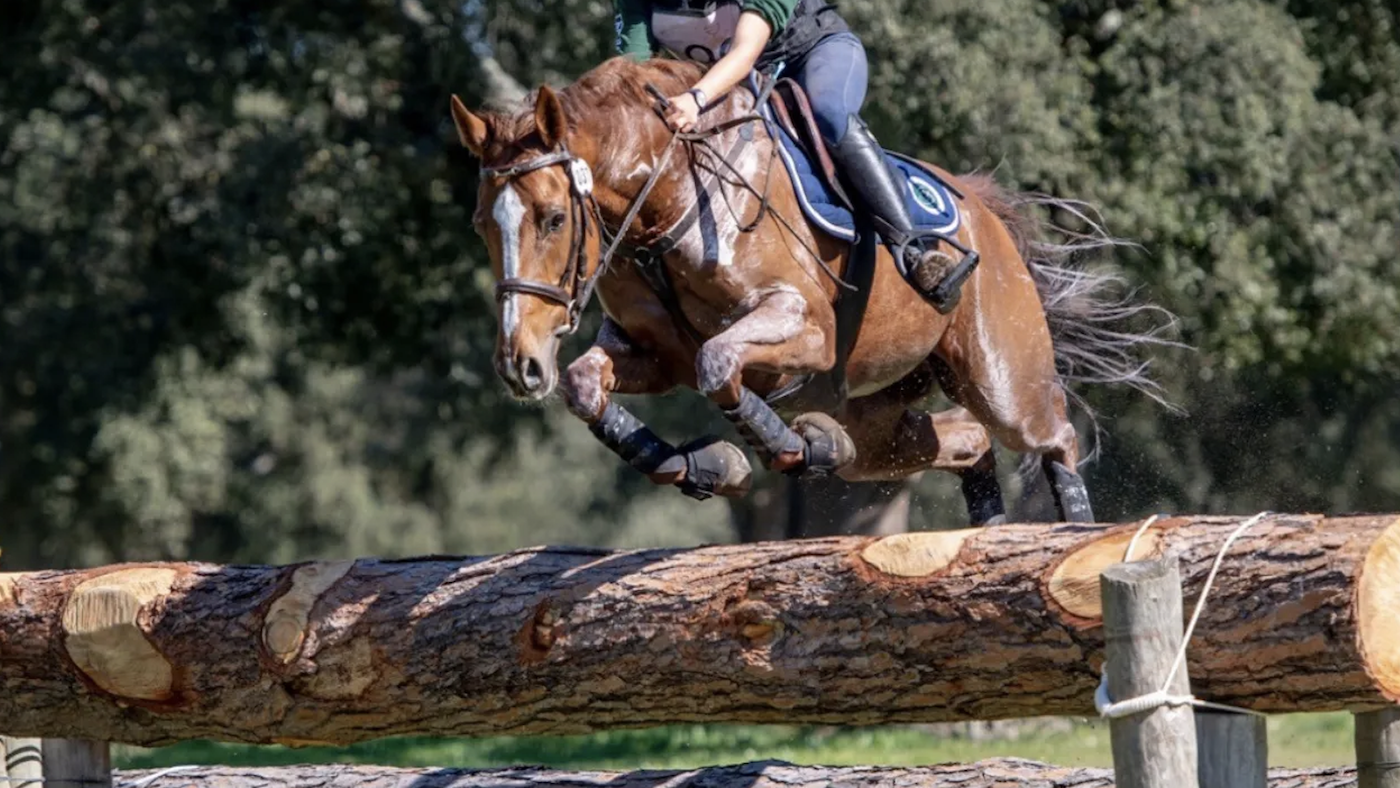 Eventing governing bodies are allowing dark breeches to be worn in all phases.