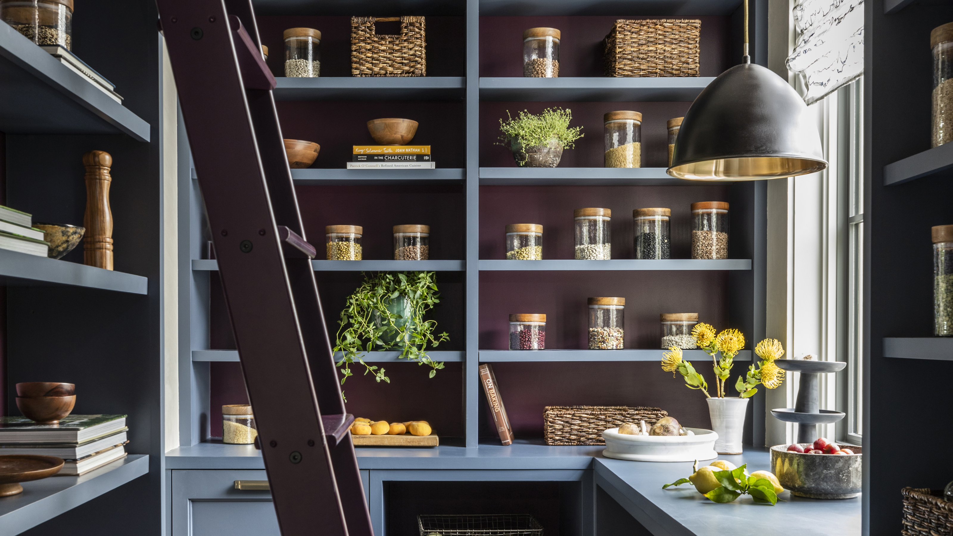 A kitchen pantry in deep tones