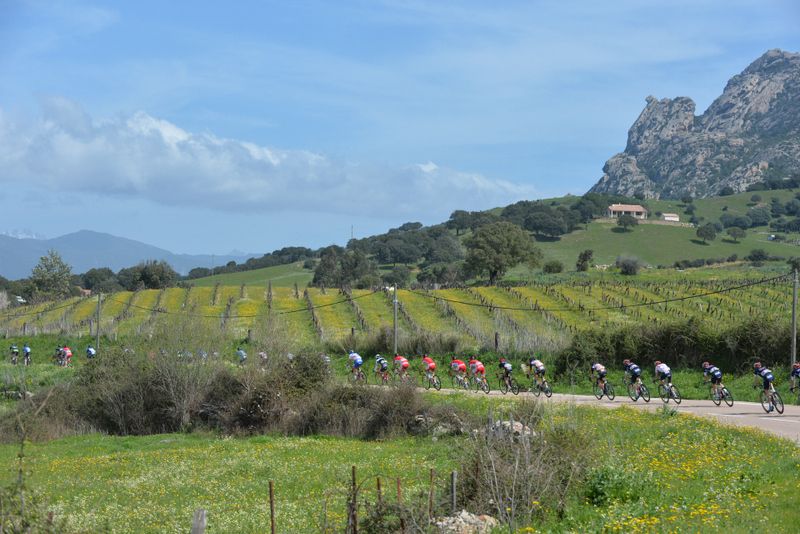 Corsican countryside on display