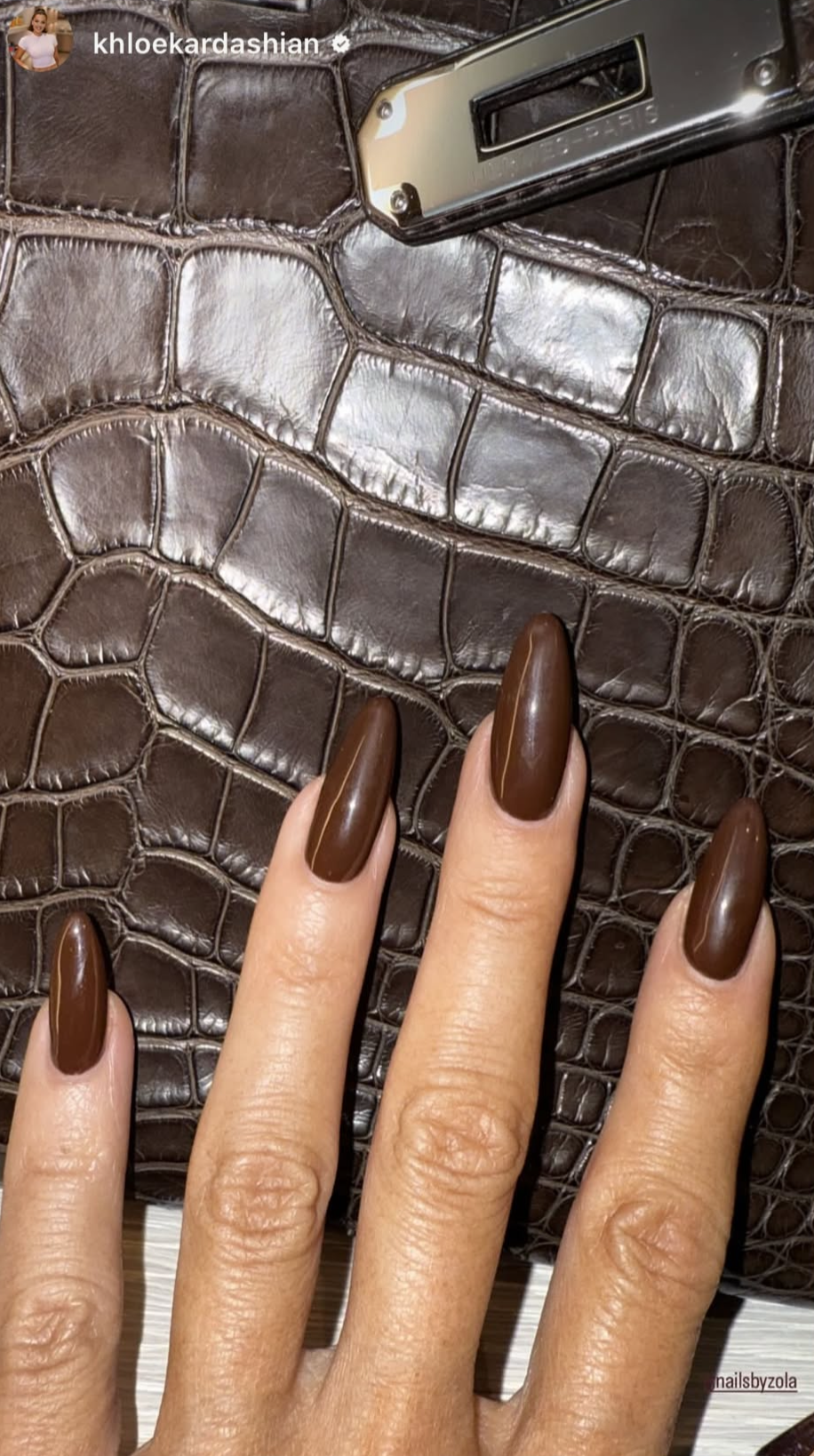 a person with brown nails holding a brown handbag