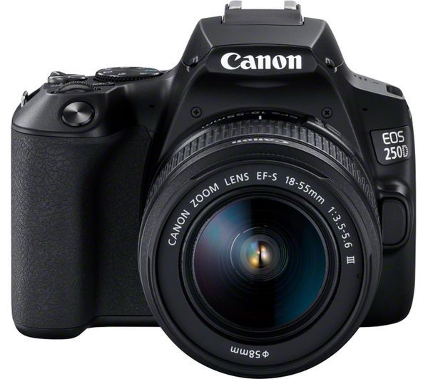 Let the Canon EOS 250D lighten up your photography Digital Camera World