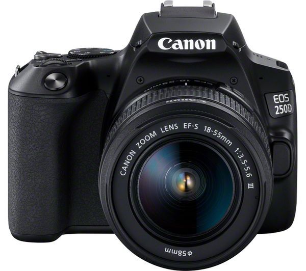 The compact but quality Canon EOS 250D is an ideal family camera