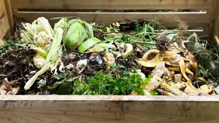 picture of compost heap with organic matter on top