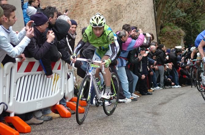 Peter Sagan (Cannondale) on the Sant'Elpidio a Mare