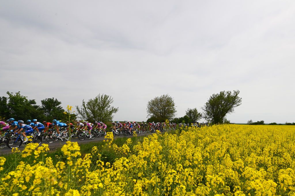 VISEGRAD HUNGARY MAY 06 A general view of the peloton competing in a flowery landscape during the 105th Giro dItalia 2022 Stage 1 a 195km stage from Budapest to Visegrd 337m Giro WorldTour on May 06 2022 in Visegrad Hungary Photo by Tim de WaeleGetty Images
