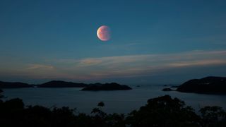 a lunar eclipse above a tropical bay