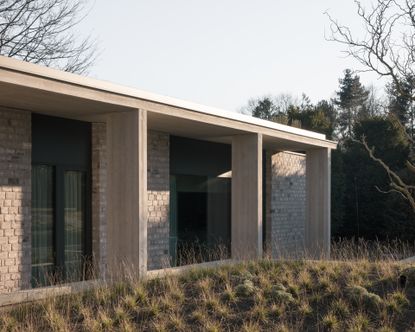 A side view of a one storey minimalist architecturally designed face brick house with a lawn in front of it and trees behind it. 