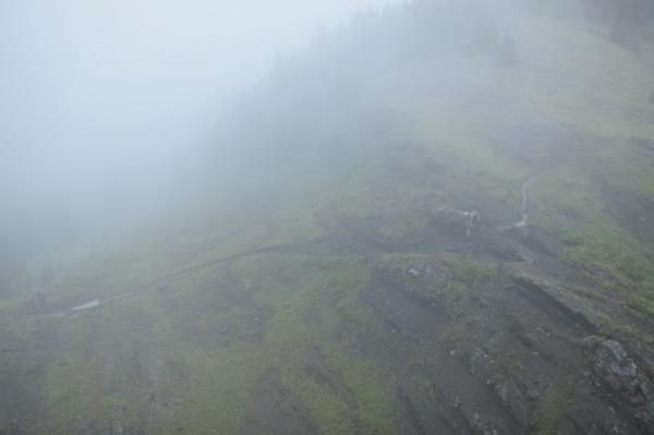 Much of the high elevation riding looked like this today.