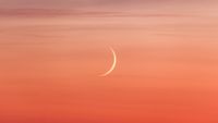 a thin crescent moon shines in a delicate pink and peach sky.