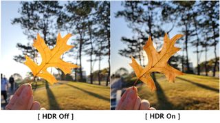 Auto HDR comparison of a leaf using the Camera Assistant module