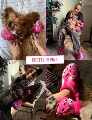 Crocs for dogs with editor