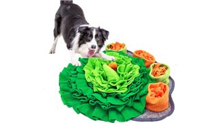 Are snuffle mats good for dogs?