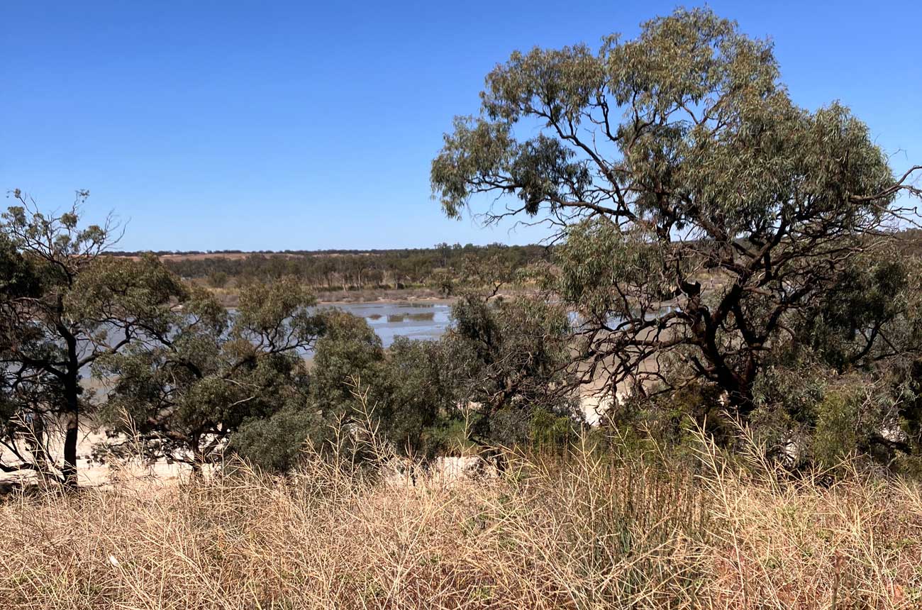 Wetlands at Starr's Reach, Riverland, Australia