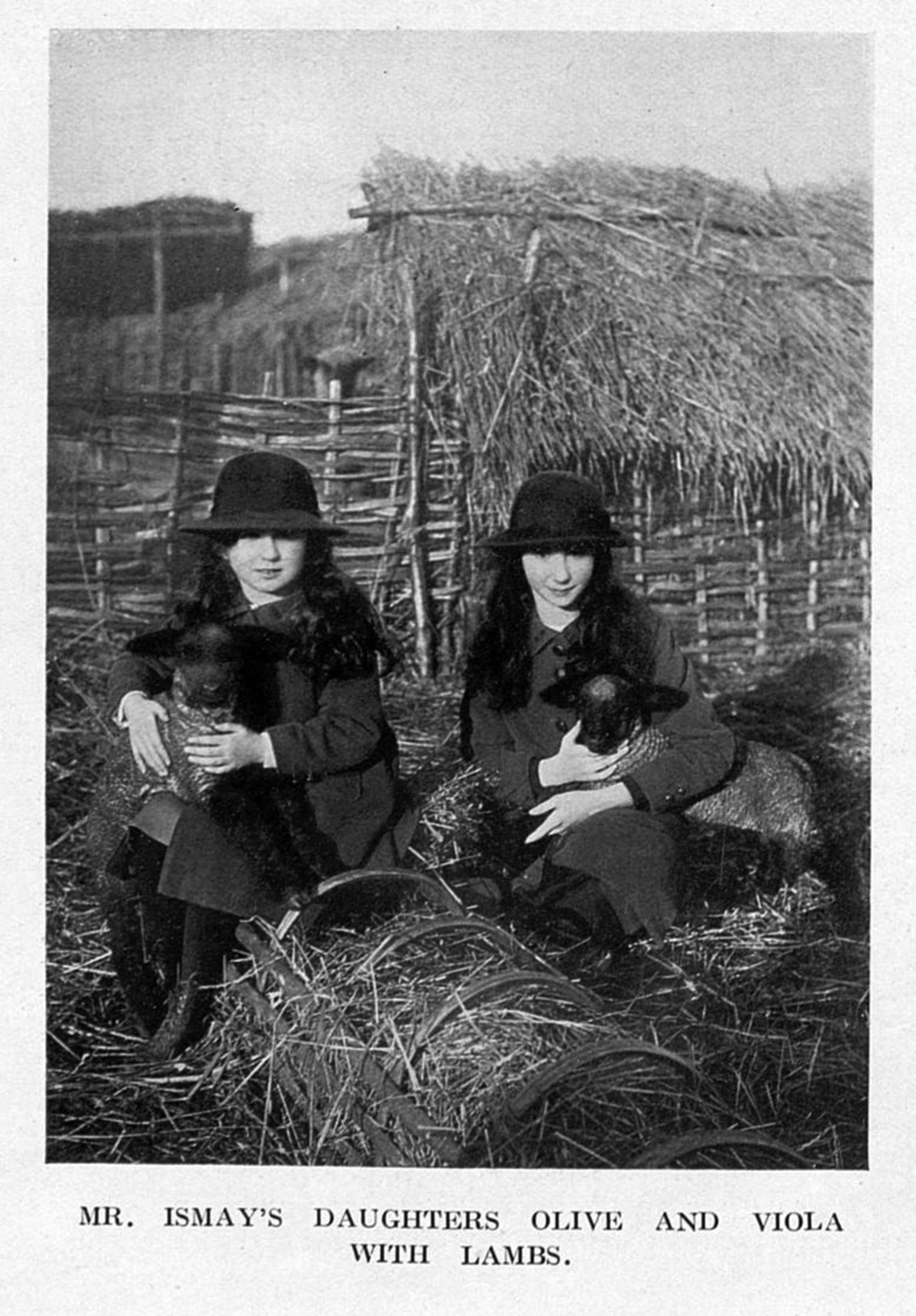 Two young girls holding two lambs